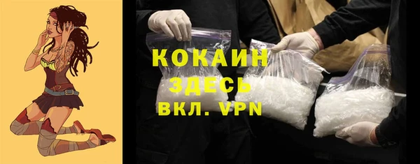 ГАЛЛЮЦИНОГЕННЫЕ ГРИБЫ Нестеровская