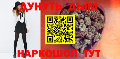скорость Гатчина