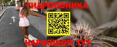 скорость Гатчина