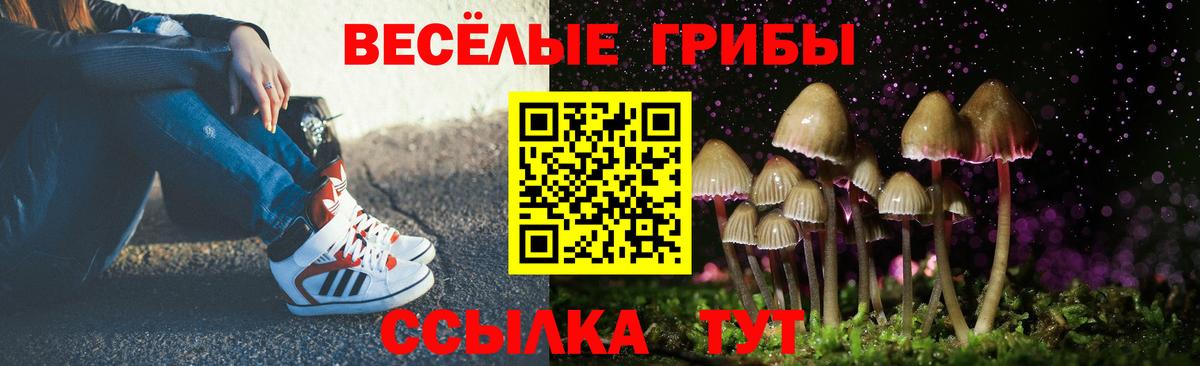 закладки  Псилоцибиновые грибы Cubensis  Камышин  Вход с VPN  Галлюциногенные грибы Magic Shrooms 