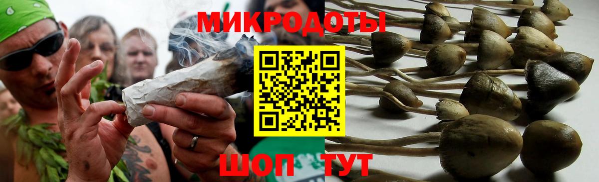 Псилоцибиновые грибы Psilocybe Камышин